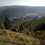 מלון Springiersbacher-hof *