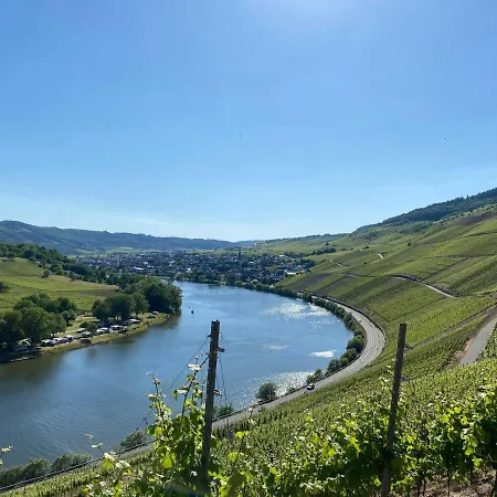 Springiersbacher-hof * Kröv