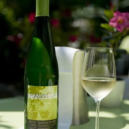 Springiersbacher-hof Hotel Kröv