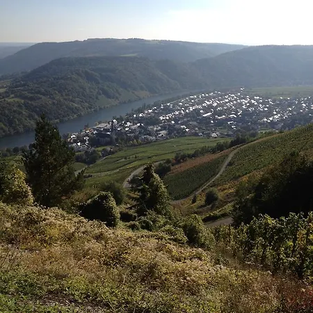 Hotel Springiersbacher-hof *