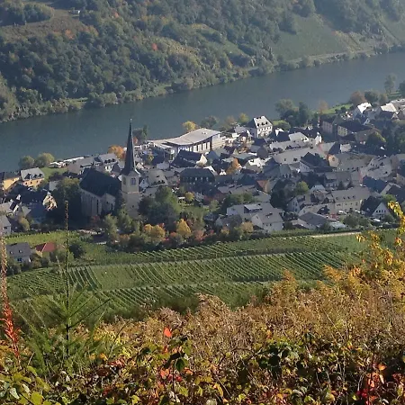 Springiersbacher-hof Kröv