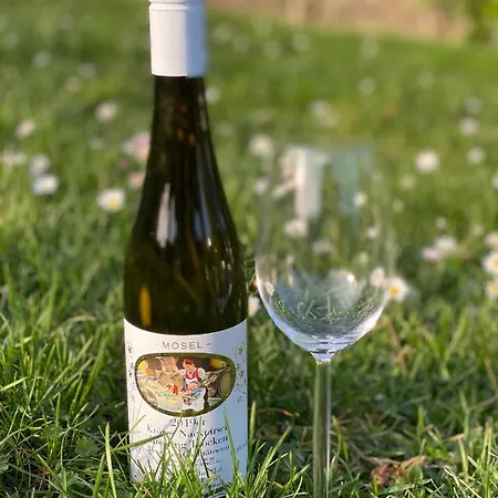 Springiersbacher-hof * Kröv