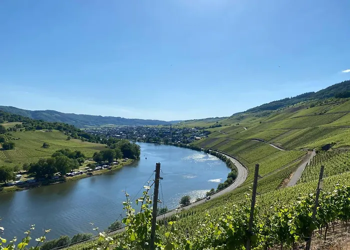 Springiersbacher-hof * Kröv