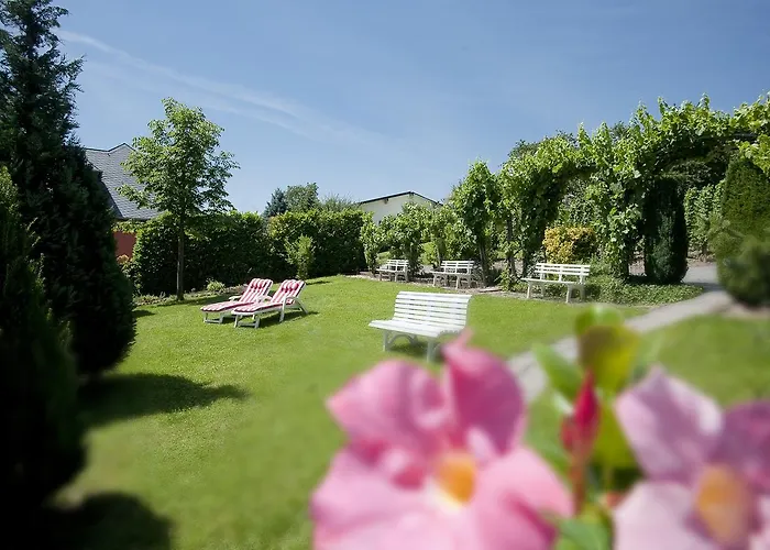 Springiersbacher-hof *