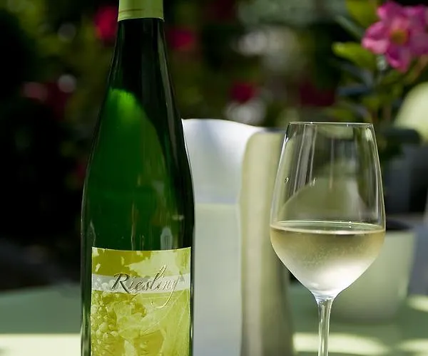 Springiersbacher-hof Hotell Kröv