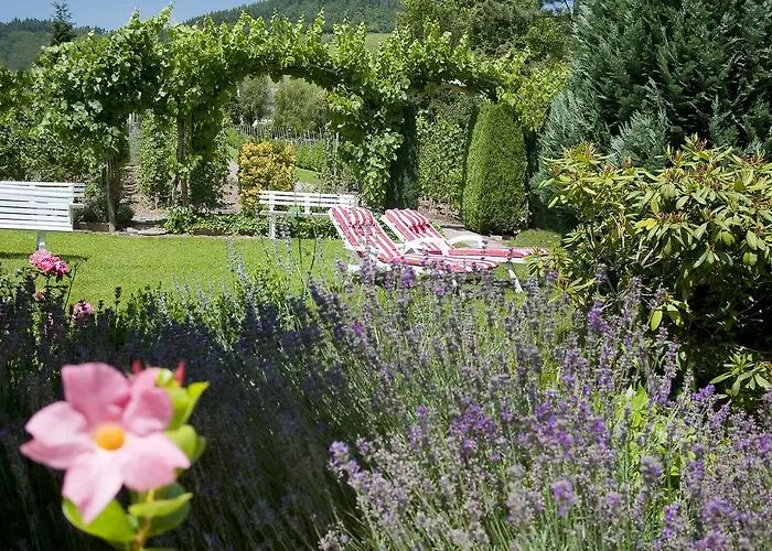 Springiersbacher-hof *