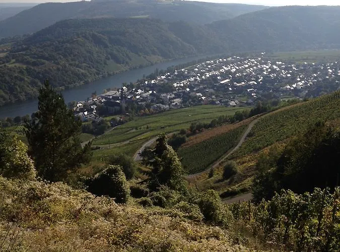 Hotell Springiersbacher-hof *