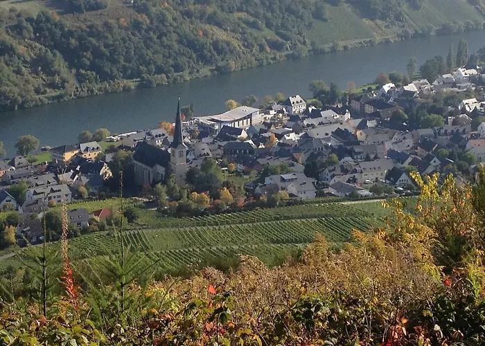 Springiersbacher-hof Kröv