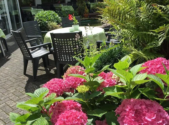 Springiersbacher-hof