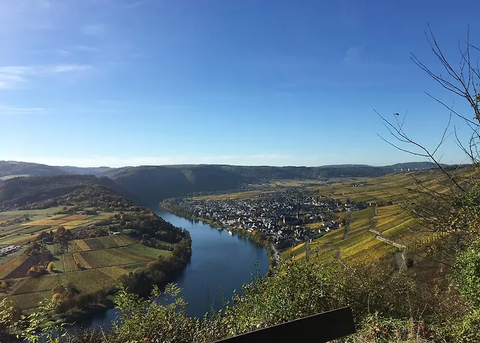 Springiersbacher-hof