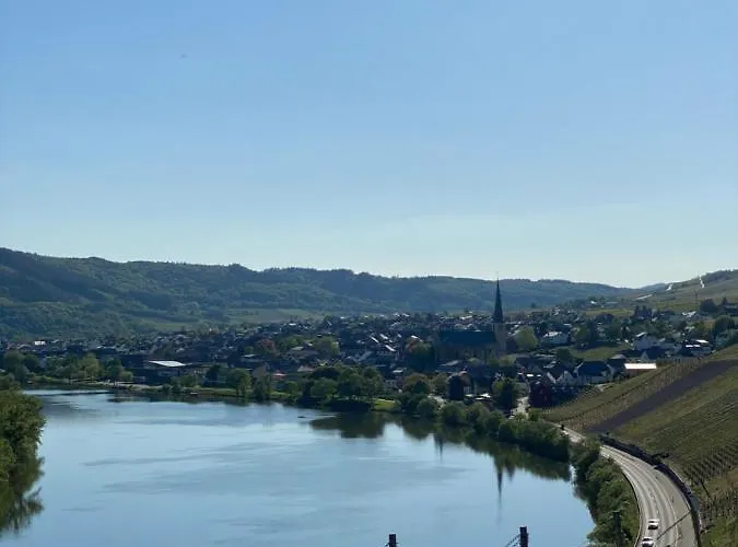 Hotell Springiersbacher-hof *