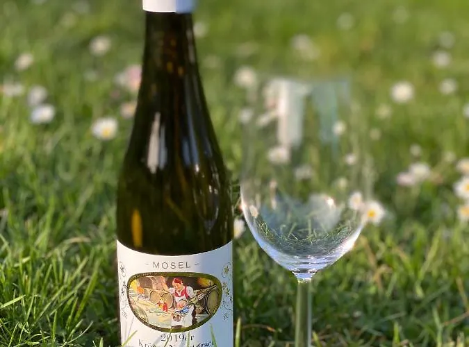 Springiersbacher-hof * Kröv